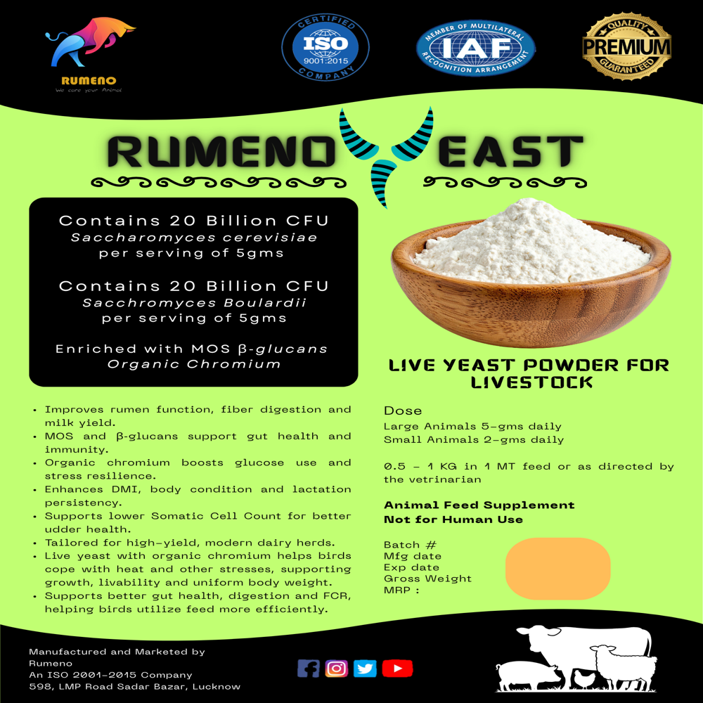 Live Yeast Feed Grade for Animals