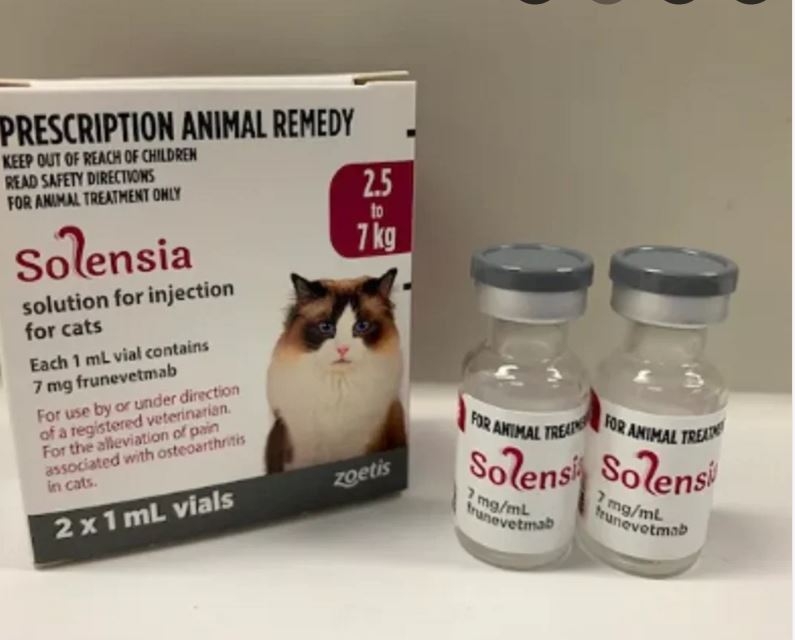 Solensia 7 mg/ml Solution for Injection for Cats