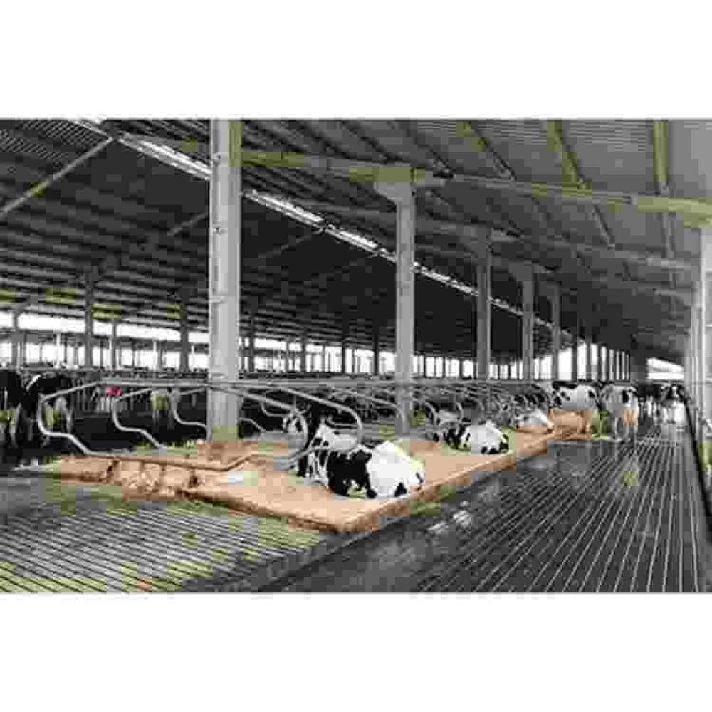 Dairy Farm Sheds