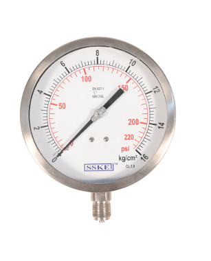 SS Precision Pressure Gauge