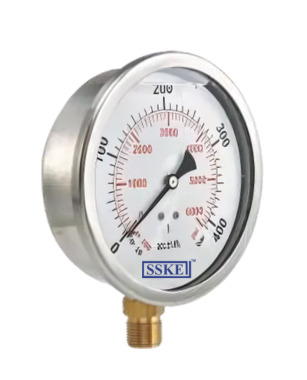 SS Brass Pressure Gauge