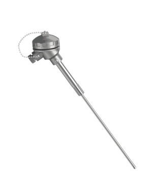 Nipple Extention Type RTD