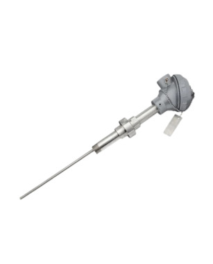 Union Nipple Extention Type RTD