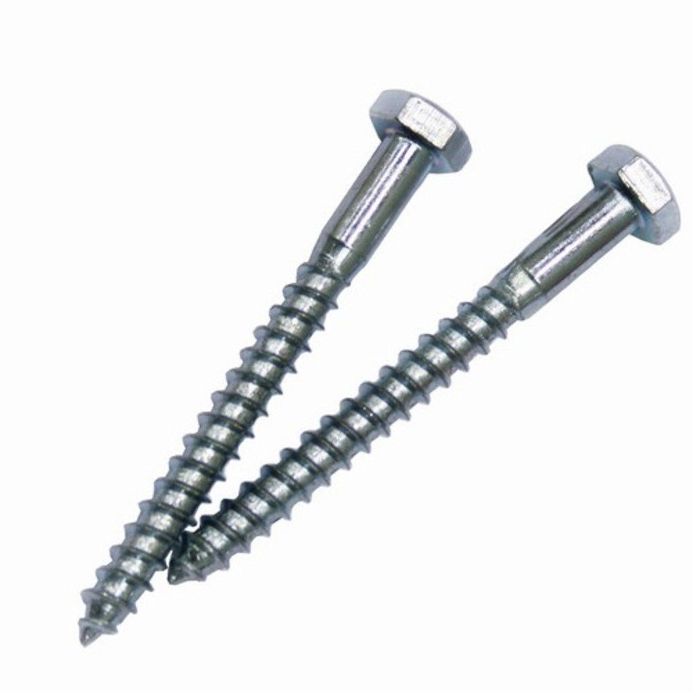 Duplex Steel 2205 Screw