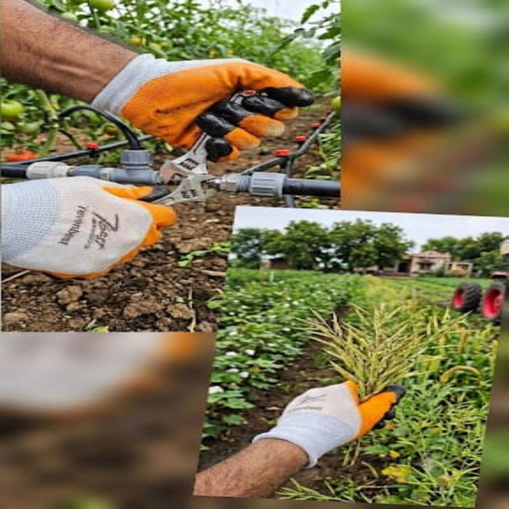 Agriculture Gloves