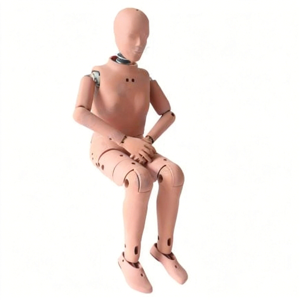 5th Percentile Female Crash Test Dummy FMVSS 208 Standard - Vinyl Skin, Steel & Aluminum, 152 cm Tall | Articulated Joints, Modular Design, 50+ Sensor Locations