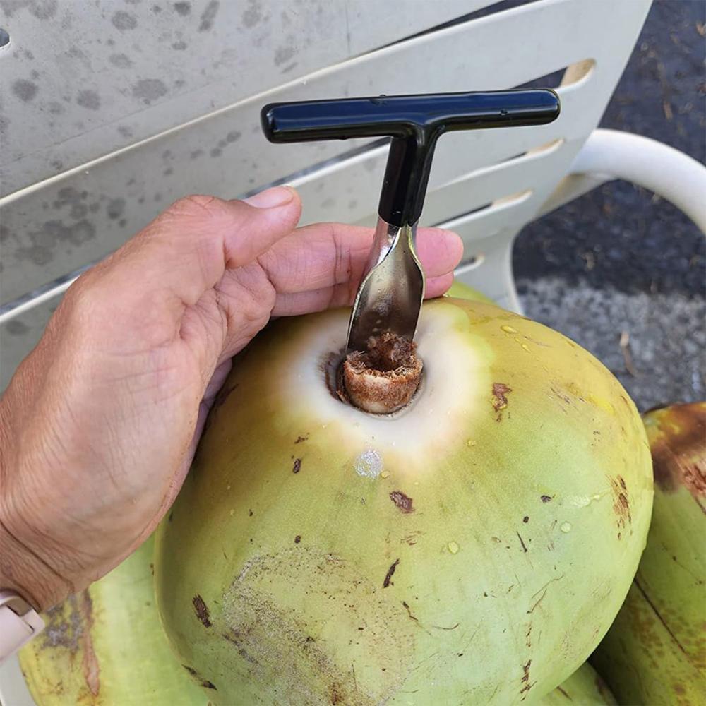 Stainless Steel Coconut Breaker Tool With Comfortable T-handle (14x10x2 Cm) - Rust-resistant, Ergonomic Grip, Dishwasher Safe