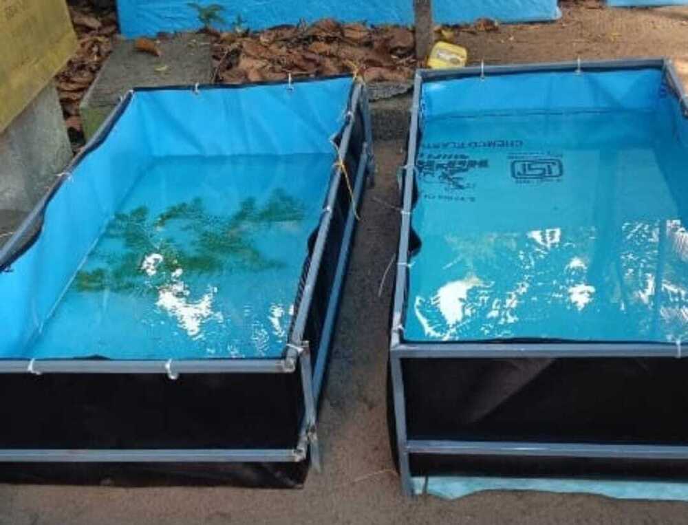 HDPE Fish Tanks