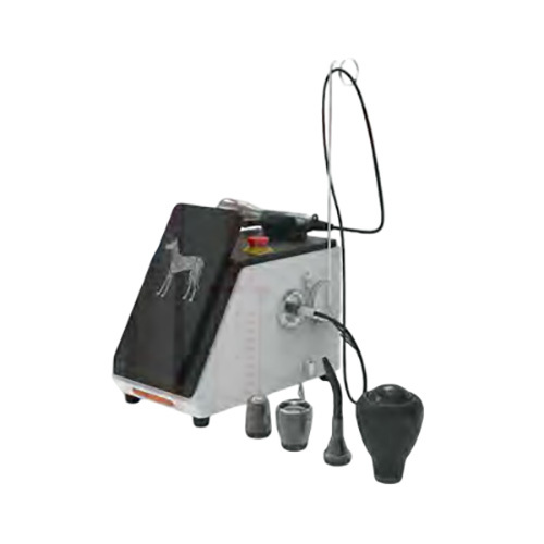 Vet Endoscope Laser