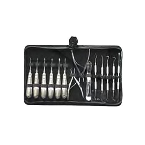 Vet Dental Instrument Canine