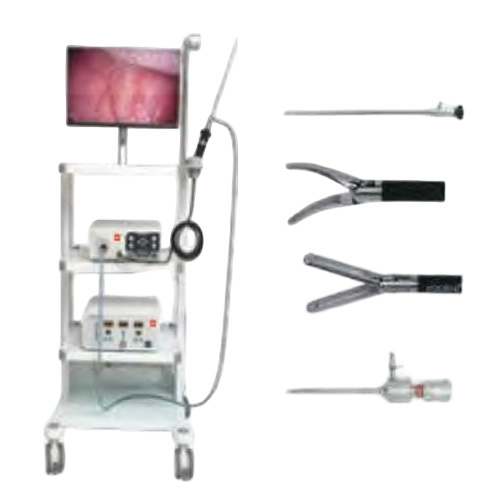 HD Veterinary Rigid Endoscope System