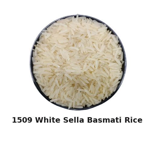 1509 White Basmati Rice - Admixture (%): 5