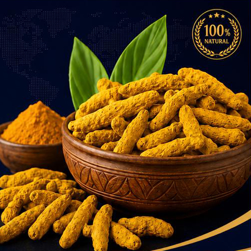 Premium Quality Turmeric Finger