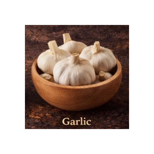 White Fresh Garlic
