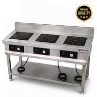 3 Burner Induction Range