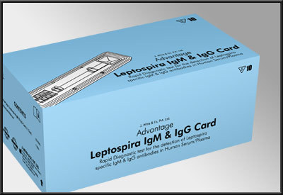 एडवांटेज लेप्टोस्पाइरा Igm और Igg कार्ड