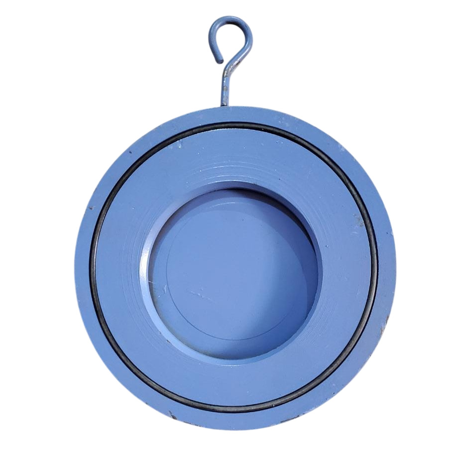 Cast Iron Wafer Check Valve