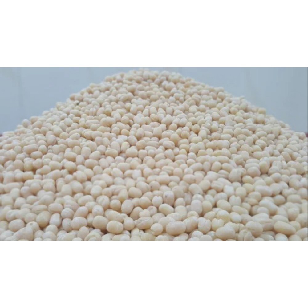 Urad Dal - 100% Organic, Medium Grain Size, Round Shape, White Color | Pure Cultivation, Ideal For Traditional Dishes And Savory Delicacies
