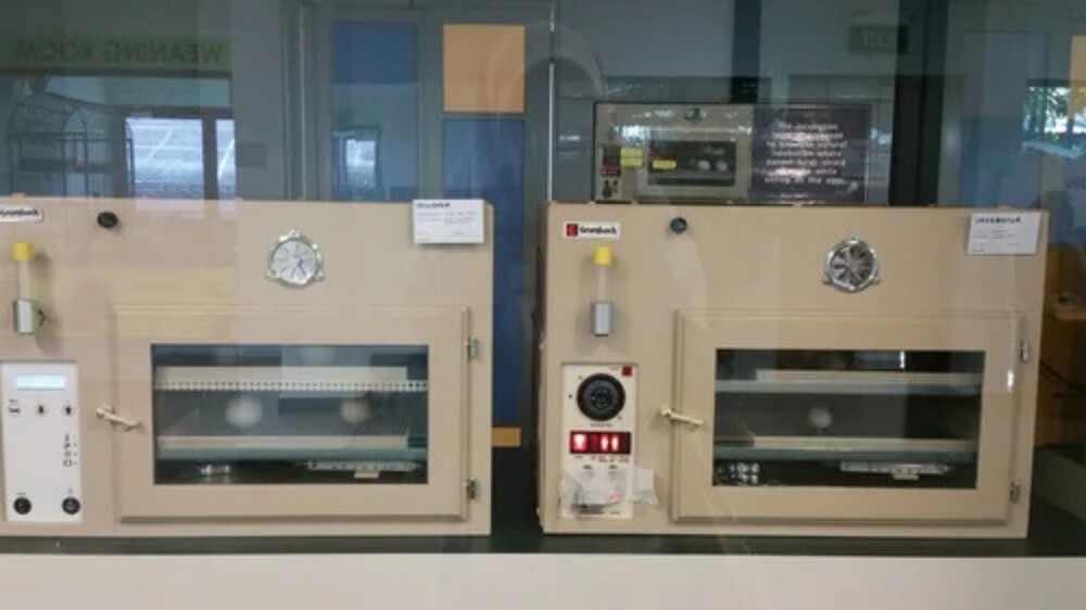 Industrial Incubation Room