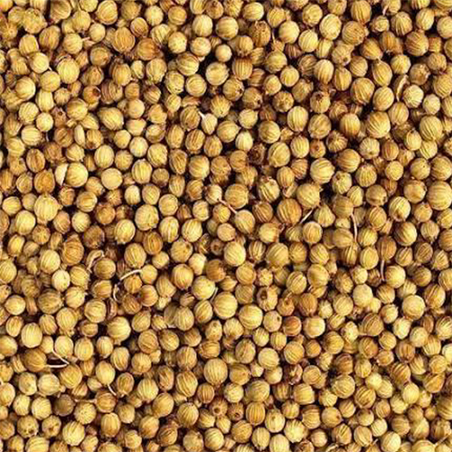 Coriander Seeds