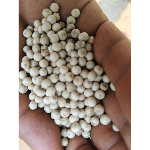 White Pepper - 3-5mm Whole White Peppercorns, 99% Purity, Gluten-Free, Earthy Peppery Flavor