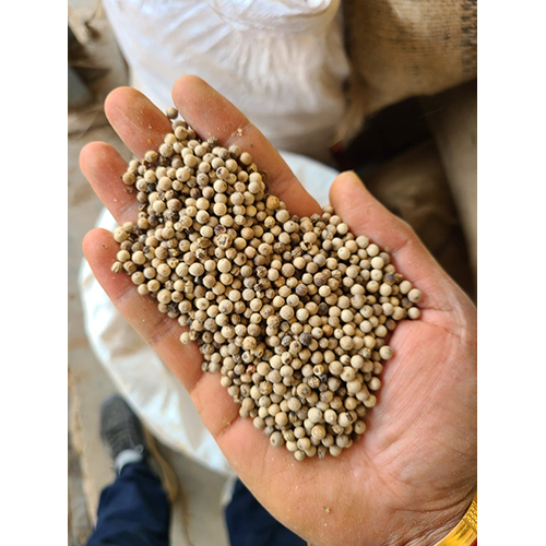 White Pepper
