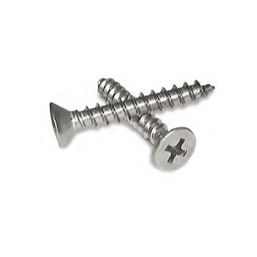 Super Duplex Steel Ferralium 255 Screw