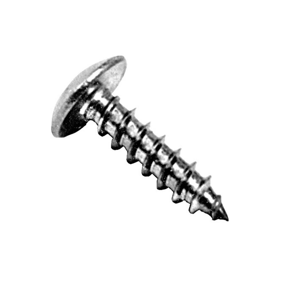 Super Duplex Steel Ferralium 255 Screw