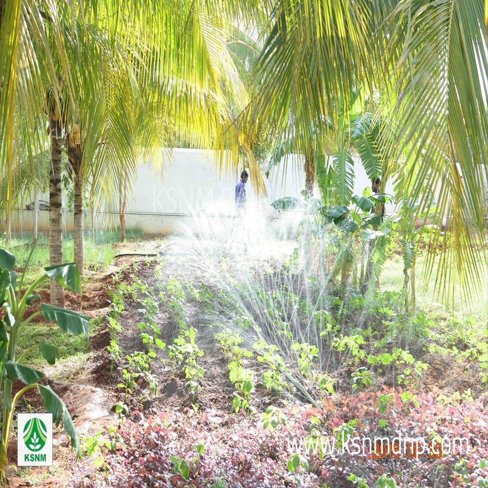 RAIN HOSE -350 / 63 mm / 100 Meter