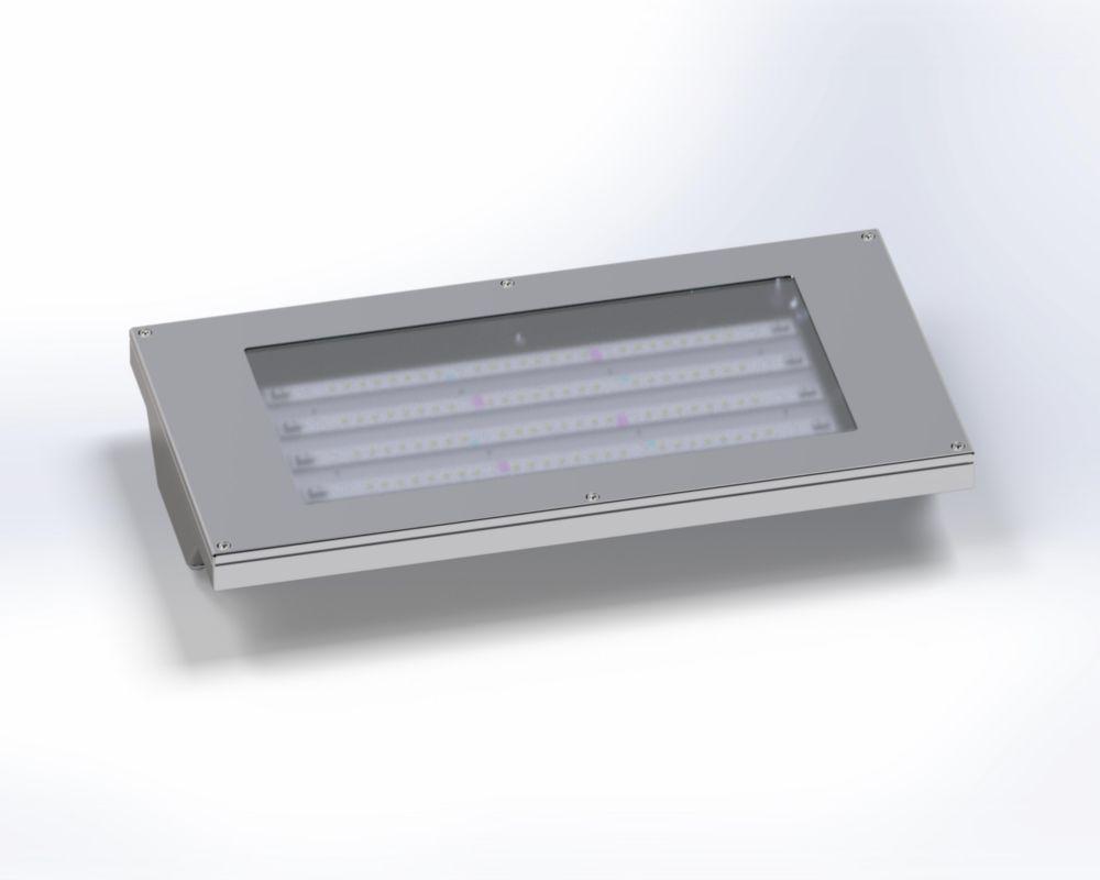Flameproof Clean Room Light Fitting - Features: Energy Efficient
