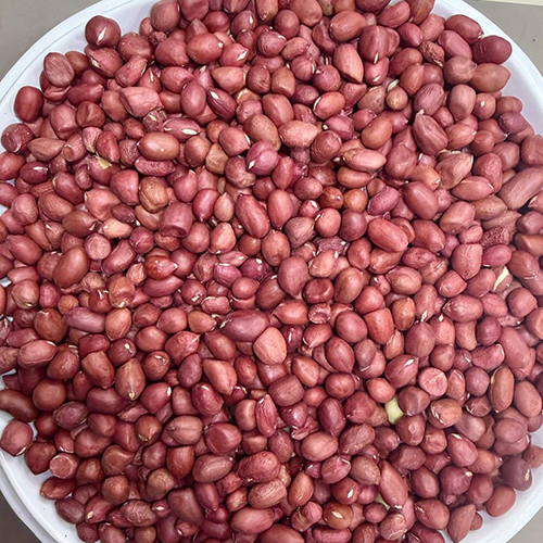 Ground Nut