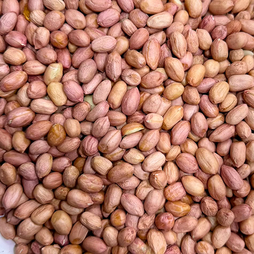 Ground Nut