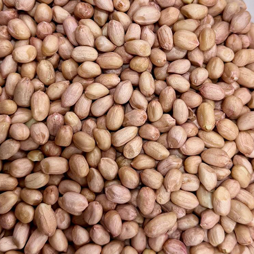 Ground Nut