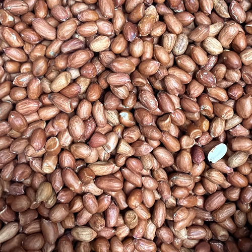 Bakhar Ground Nut