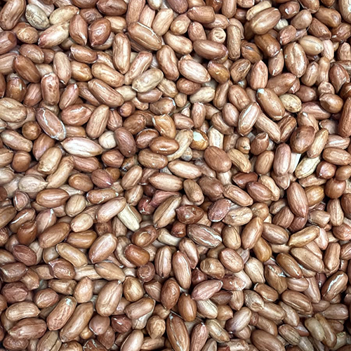 Bakhar Ground Nut