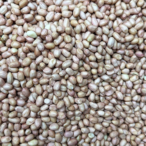 Batani Ground Nut