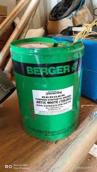 Enamel Paint - Synthetic Enamel, 20l, Topedo White & Artic White, High Gloss, Weather Resistant, Low Maintenance