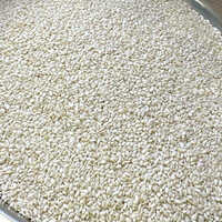 Loose Hulled Sesame Seeds - White, 99.95% Purity, 48-50% Oil Content, Sun Dried, Oval Flat Shape