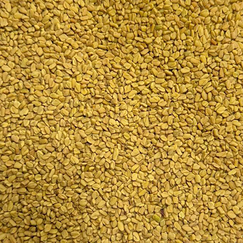 Fenugreek Seeds