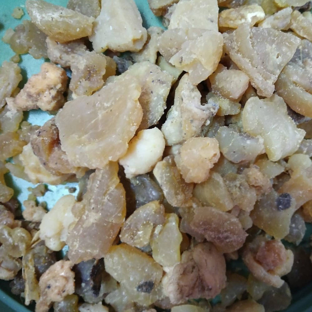 Pungent Aroma Asafoetida