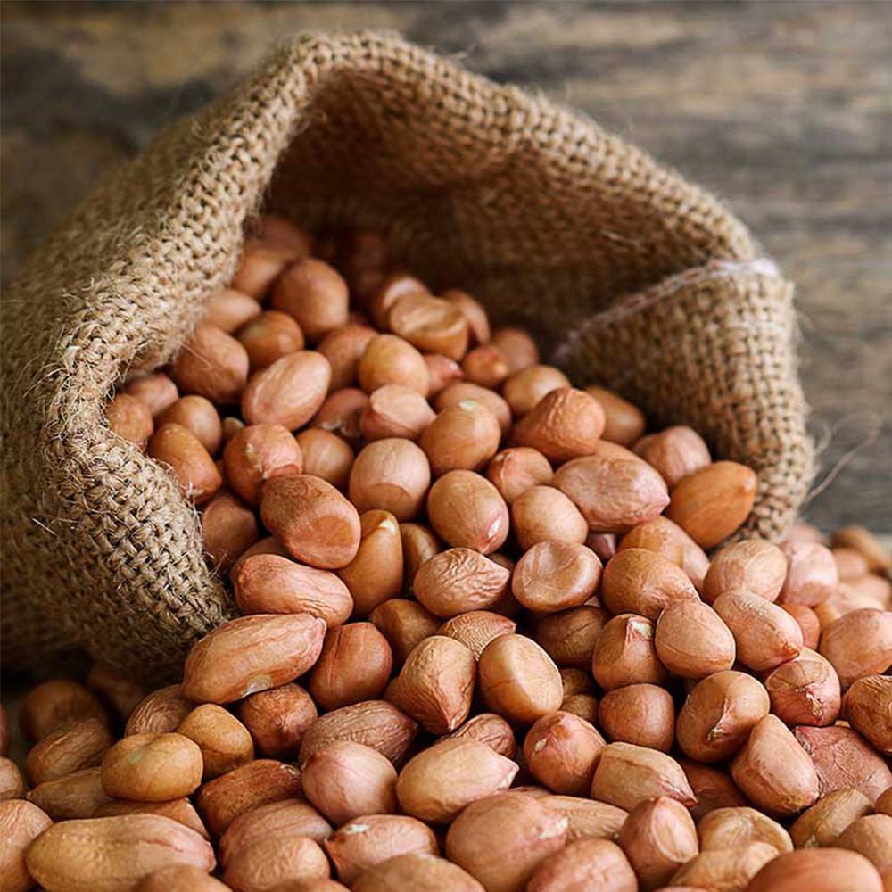 Ground Nut - Raw, Brown | Grade A, Common Cultivation, 1 Year Shelf Life, High Oil And Protein Content