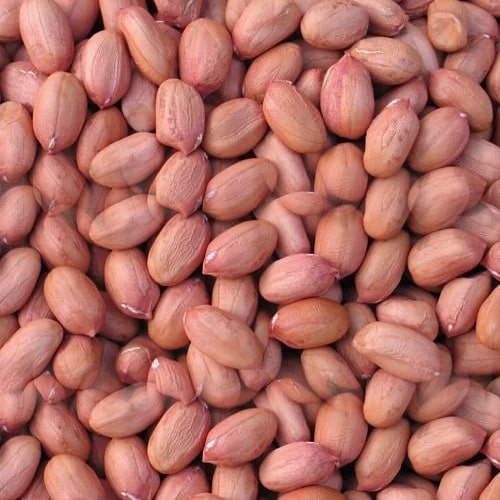 Ground Nut - Raw, Brown | Grade A, Common Cultivation, 1 Year Shelf Life, High Oil And Protein Content
