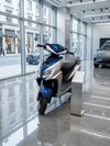 Electric Motor Scooter - High Strength Steel, 10 Inch Wheels, 250w Hub Motor | Ip65 Water Resistant, Lithium-ion Battery, Led Drl Headlights