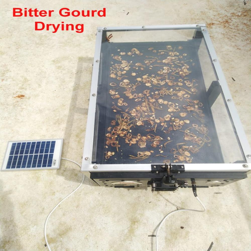 Solar Dryer For Apricot