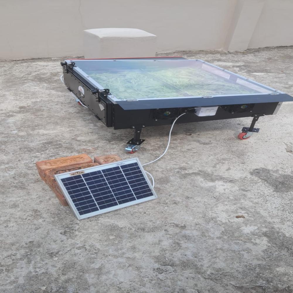 Solar Dryer For Banana