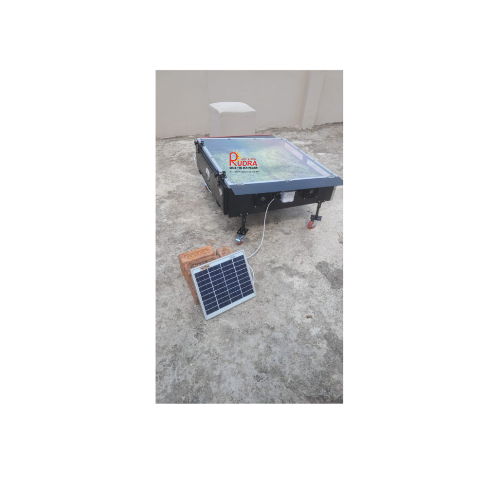 Solar Dryer For Chilli