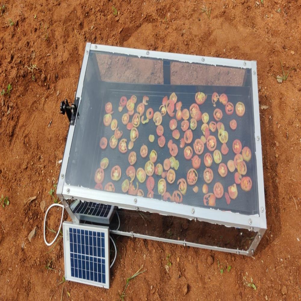 Solar Dryer For Mushroom