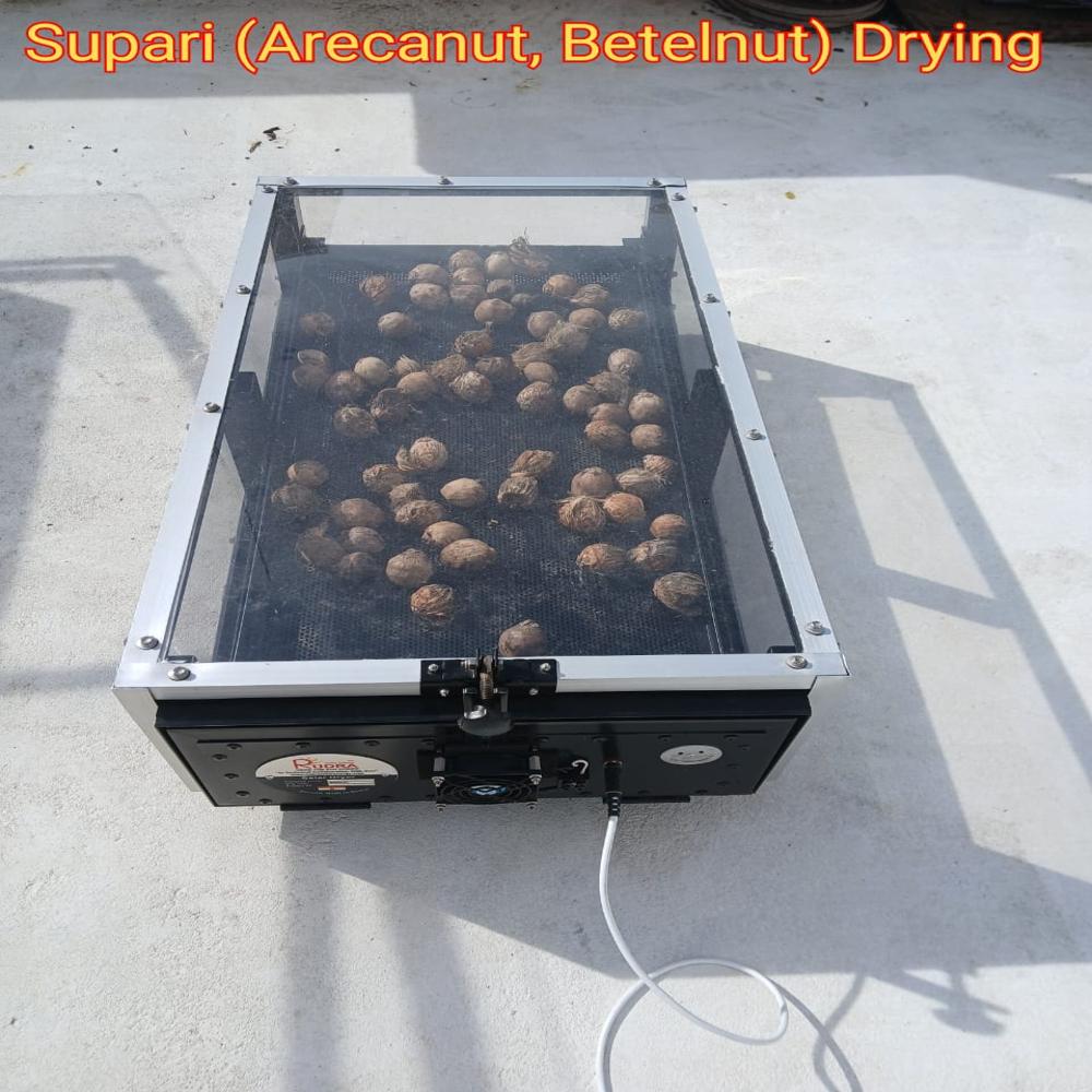 Solar Dryer For Mushroom