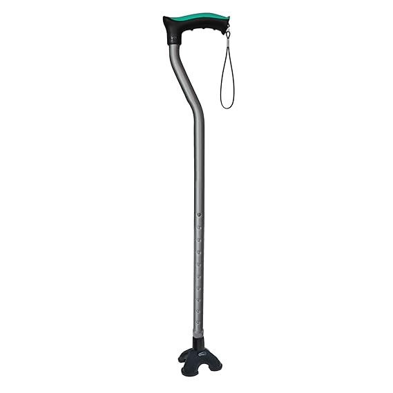 Walking Stick