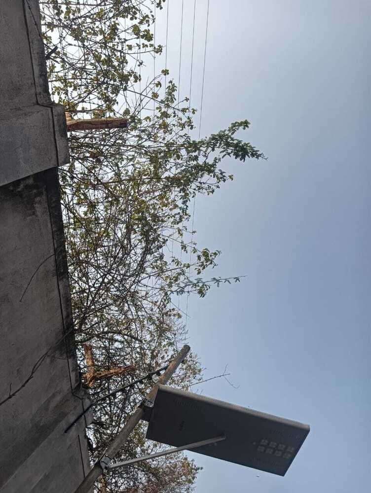 Side Mount Electric Fencing